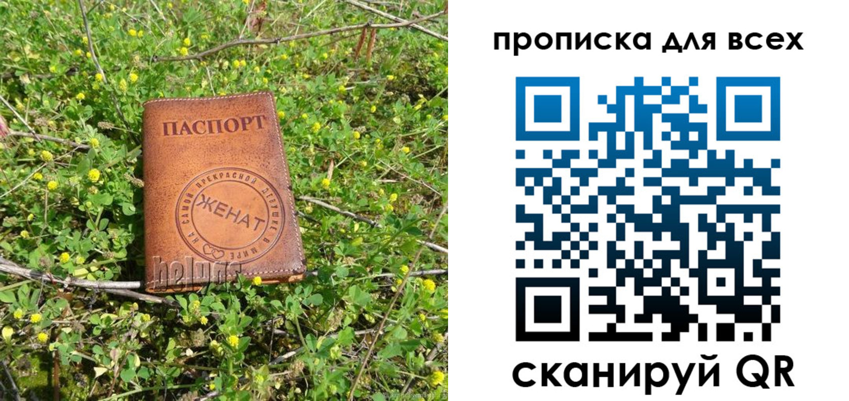 прописка поиск в Сельцо